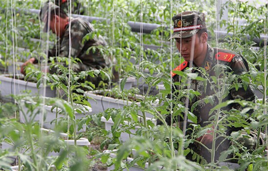 ���Z׃�F(xi��n)������ԭ�ٱ���������